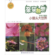 鏡頭