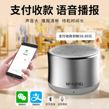 維爾晶（W-King） W7 音箱/音響 灰色（送網(wǎng)袋）