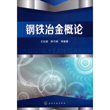 鋼鐵冶金概論