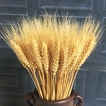 仿真大麥花束