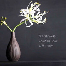 精致花瓶，為你的家增添色彩