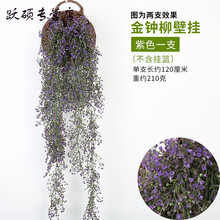 創(chuàng)意掛墻，讓你的家煥然一新