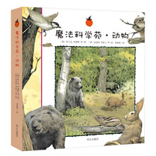 動物套裝