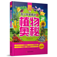 書架