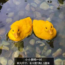 СͥԺˮ���ڼ�