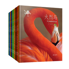 動物套裝
