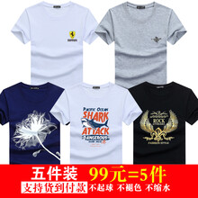 傲信鳥 短袖 男士T恤 保時捷白+火箭灰+一枝花藍(lán)+大白鯊白+金翅膀黑 