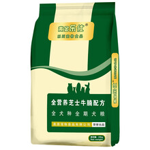 寵物德國牧羊犬