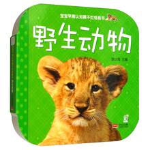 動(dòng)物寶寶