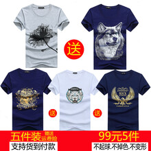 傲信鳥(niǎo)（aoxinniao） 短袖 男士T恤 套餐3一枝花灰+狼頭藍(lán)+金花藍(lán)+虎頭白+金翅膀藍(lán) 