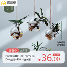 玻璃花瓶擺件，打造精致家居生活