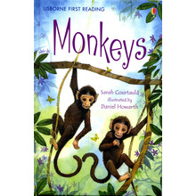 usborne英文原版