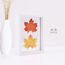 創(chuàng)意,標(biāo)本,創(chuàng)意,植物,植物,標(biāo)本,怎么樣