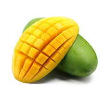 ��Ƥ����â��