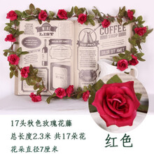 精致創(chuàng)意花瓶，點亮浪漫生活