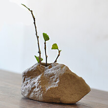 創(chuàng)意花瓶，讓你的家愛上藝術(shù)生活