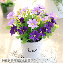 排名,花盆,排行榜,陶瓷,陶瓷,花盆,推薦