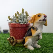 ����Ʒ,����Ʒ,ֲ��,ֲ��,��ô��