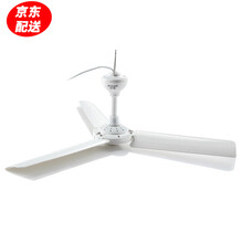 清涼度夏，立式風(fēng)扇讓生活更舒適