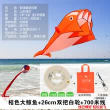 ���庣�����