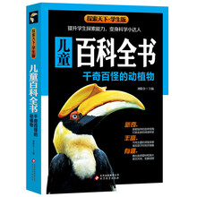 探索天下