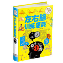 左右腦訓(xùn)練