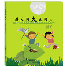 美的