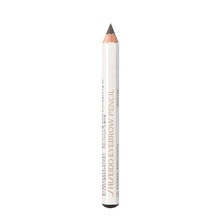 資生堂（SHISEIDO PROFESSIONAL）眉筆六角眉筆眉墨筆2號(hào)深棕色