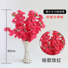田園風(fēng)花卉，營(yíng)造浪漫唯美的家