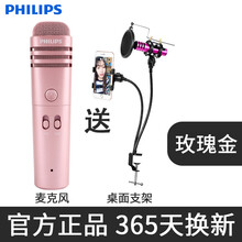 入門級麥克風(fēng)，讓你的電力十足