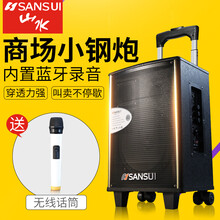 拉桿8寸電瓶音箱