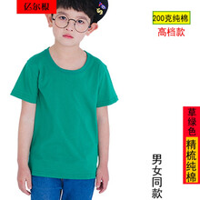 億爾根 短袖 男士T恤 綠色 