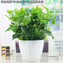 創(chuàng)品,家具,創(chuàng)品,家具,怎么樣