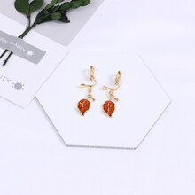小的貓