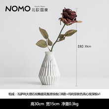 北歐,北歐,國度,怎么樣,國度,花瓶,花瓶,花藝,花藝
