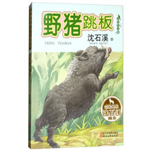 動(dòng)物沈石溪畫本