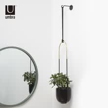 umbra,umbra,����,��ô��