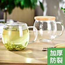 魔都玻璃杯500ml，401-500ml