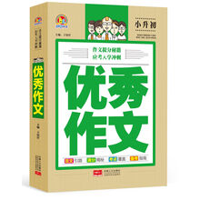 作文小升初優(yōu)秀