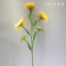 中號(hào),中號(hào),怎么樣,落地,落地,花瓶,花瓶