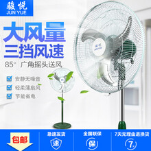 駿悅