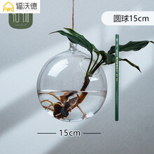 玻璃花瓶擺件，打造精致家居生活