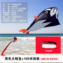���庣�����