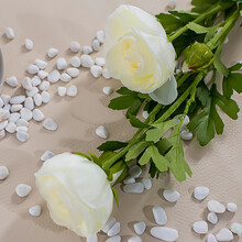 怎么樣,玫瑰,玫瑰,花束,花束