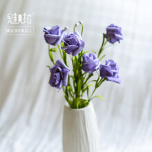 精美花瓶，給你一個(gè)浪漫的生活