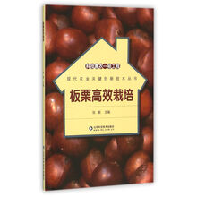 板栗