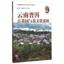 云南普洱