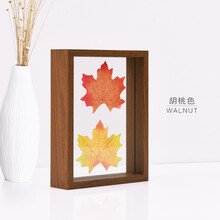 創(chuàng)意,標(biāo)本,創(chuàng)意,植物,植物,標(biāo)本,怎么樣