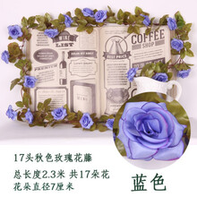 創(chuàng)意花瓶，讓你的家更浪漫