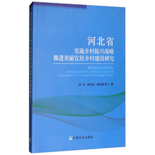 鄉(xiāng)村振興戰(zhàn)略